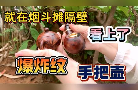 珍稀黄花梨小茶壶：满纹理下的古典韵味