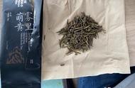 第八天的新尝试：雾里萌黄蒙顶黄芽试茶