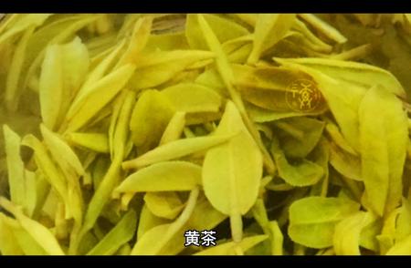 探索黄茶的世界：品种、功效与冲泡技巧