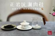 正岩茶：世人赞誉的奥秘与高价原因