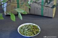 2023年西湖龙井新茶开采在即，购买时需注意哪些事项？