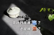 绿茶、新白茶、红茶、老白茶：寒热属性一览无余