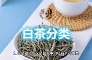 白茶知识大全：探索白茶的多种类型