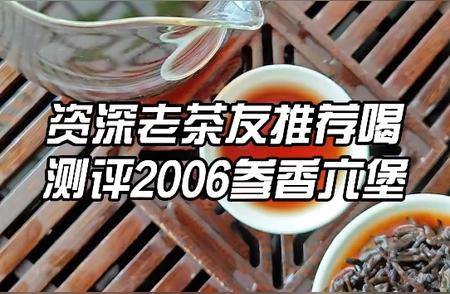 资深老茶友倾情推荐：六堡茶品鉴指南