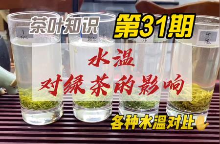 信阳毛尖：不同水温下的冲泡对比