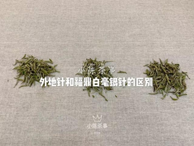 图文解读，五大角度，教你分辨外省白毫银针和福鼎白毫银针区别！